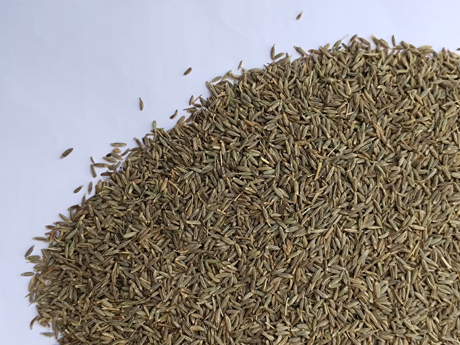 Cumin seeds