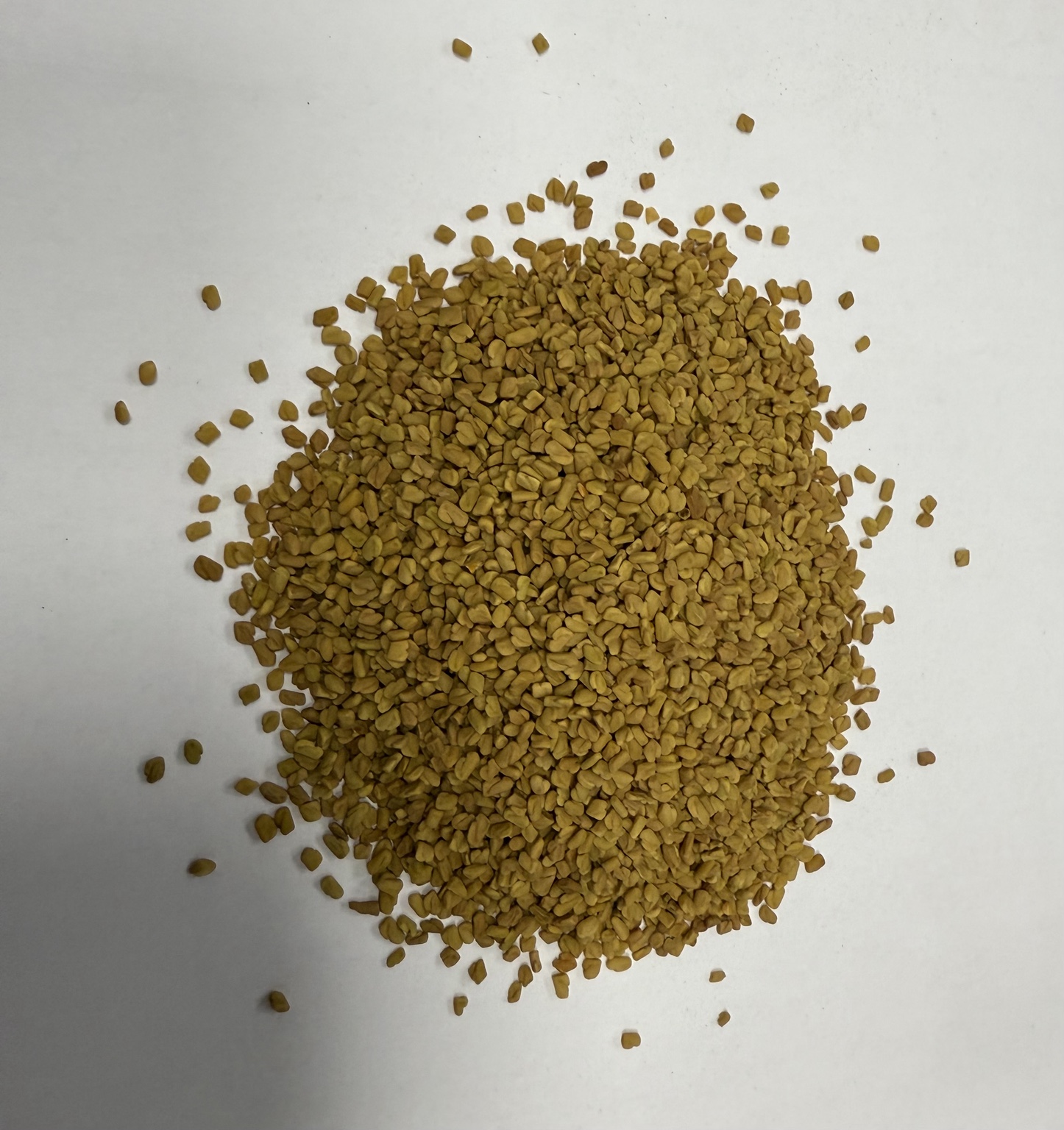 Fenugreek seeds
